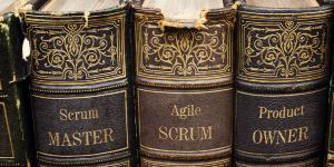 Agile Scrum Health Check